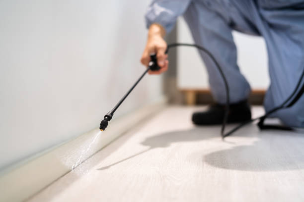 Licensed Bed Bug Control service in Russell County County, VA - Nex Pest Control