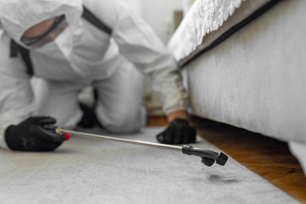 Professional Bed Bug Control technician working in Russell County County, VA